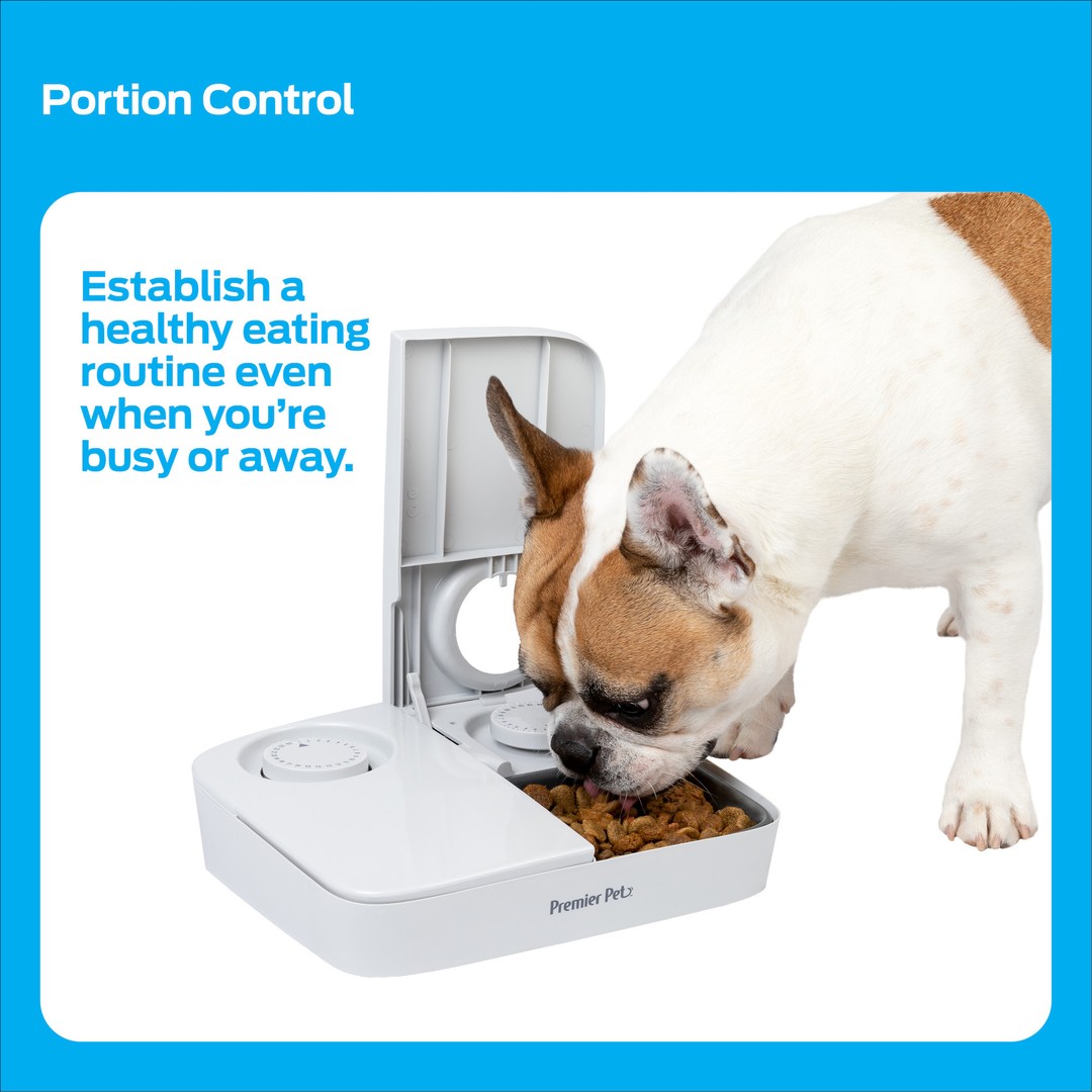 Automatic Timer Pet Feeder 2 Meal Premier Pet